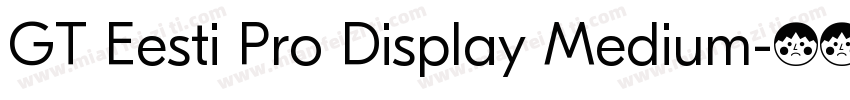 GT Eesti Pro Display Medium字体转换